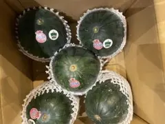408千葉県産富里大玉スイカブラックジャックC品4Lサイズ1箱2玉入り