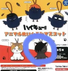 ハイキュー!!ぬいぐるみマスコット クロオネコ 黒尾鉄朗