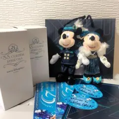 東京ディズニーシー ジュビリーガラ ぬいぐるみバッジ、グラス、紙袋