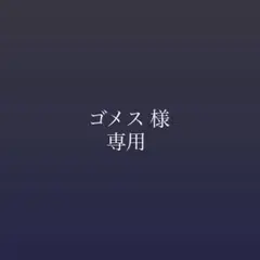 ゴメス様 専用ページ