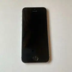 【ジャンク品】iPhone 5s 本体のみ