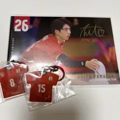 バレーボール男子日本代表　ガチャガチャ　まとめ売り　3点