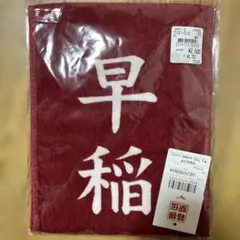 箱根駅伝第94回 未開封！青山学院大学 応援記念タオル Mizuno - メルカリ