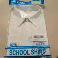 Item thumbnail for item dff17428-cdae-4d78-869d-a57f2fa14aae