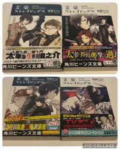 文豪ストレイドッグス まとめ売り 小説 - メルカリ