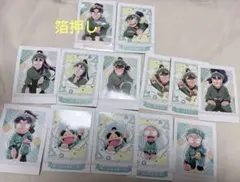 忍たま 忍たま乱太郎 ぱしゃこれ 13枚セット