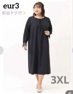 【新品】eur3(大きいサイズ/洗える)スリーブレースワンピース サイズ17