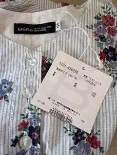 Item thumbnail for item 5c7944e8-16dd-42b3-a616-4b55f174e778