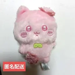 【匿名配送】ぬいぱれっと　レアさくらいろ　マスコット ハチワレ