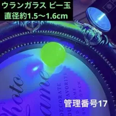 Item thumbnail for item 6d6e7632-736e-4810-a3fe-8f7227b46050