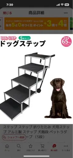 Item thumbnail for item eb1ef40f-8157-4640-a6ff-19298d6c3f6c