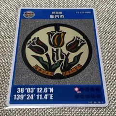匿名配送　マンホールカード　胎内市A　ロット006　新潟県