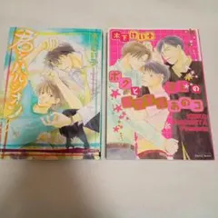 木下けい子 漫画 2冊セット