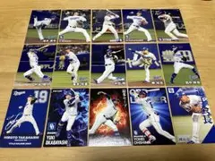 プロ野球チップスカード ドラゴンズセット