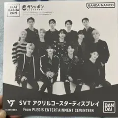 SEVENTEEN ジョシュア コースター