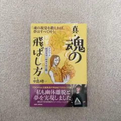 2026年最新】未来を視覚化して夢を叶える！ 魂の飛ばし方 タマエミチ
