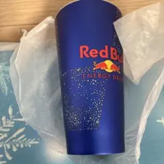 レッドブルORACLE Red Bull Racing 水筒ウォーターボトル - メルカリ