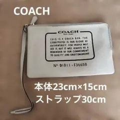 COACH くすみブルー　 ポーチ バッグインバッグ　ストラップ　レザー