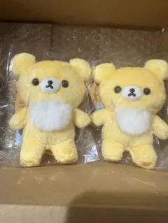 限定 チャイロイコグマ 5Colors ぬいぐるみ - メルカリ