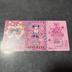 ディズニー　リゾラ　ミニー　フリーきっぷ