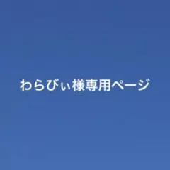 わらびぃ様専用ページ