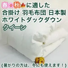 羽毛布団 クイーン クィーン ニューゴールド 白色 日本製 210×210cm