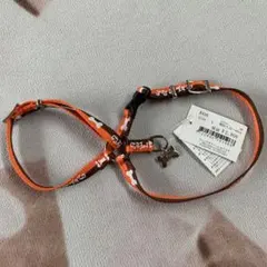 Item thumbnail for item 7c27eb86-7a94-455f-abee-19db9f00b904