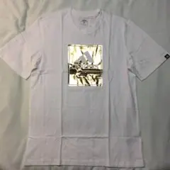 Item thumbnail for item f93e125e-7b07-4a70-b6ee-89e9077fefd7