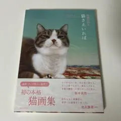 猫さえいれば = All I need is My Cats : 陳珮怡画集