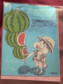 ナツコミ ワンピース メタキラ　尾田栄一郎 ルフィ 描き下ろし ナツコミ2026