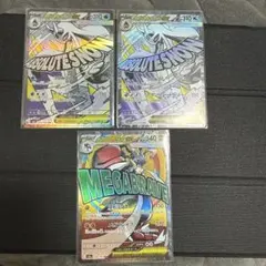 メガカキメバエックス SR 310HP ABSOLUTESNOW