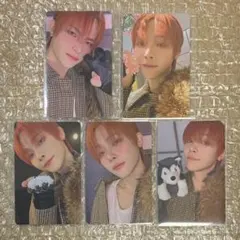 &TEAM NICHOLAS ニコラス 雪明かり