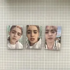 SEVENTEEN SECTOR17 エスクプス