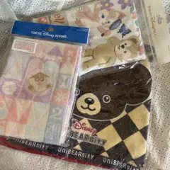 ディズニーリゾート タオルセット