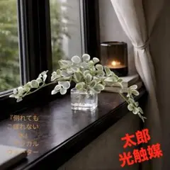 光触媒 観葉植物 ウォールグリーン フェイクグリーン マジカル
