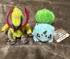 オノノクス フシギダネ ポケモンフィット