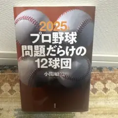 2025 プロ野球　問題だらけの12球団
