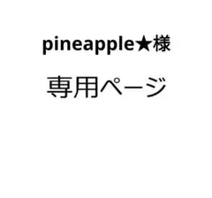 pineapple★様 リクエスト 2点 まとめ商品