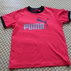 PUMA 赤 Tシャツ ロゴ入り
