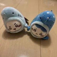 ちいかわ　ハチワレ　水族館