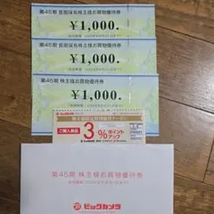ビックカメラ　株主優待券 ¥1,000 3枚セット