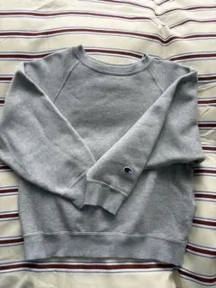 チャンピオン トレーナー