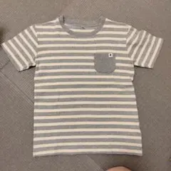 ストライプ柄 Tシャツ 150サイズ