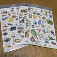 Item thumbnail for item eba5e493-8147-471a-8153-8833234c9bba