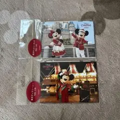 東京ディズニーランド・シー 2022年クリスマス写真セット