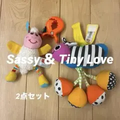 【動作OK】Sassy ＆ Tiny Love 知育玩具 2点 ぶるぶるおもちゃ