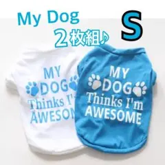 Item thumbnail for item 3968c0b9-e27a-410f-96fe-e2a08b797f1c