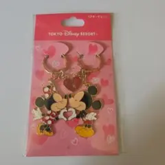 東京ディズニーリゾート ミッキー & ミニー ペアキーチェーン キーホルダー