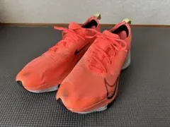 Item thumbnail for item 7b1190e0-079c-4a91-9240-451ff81d5712