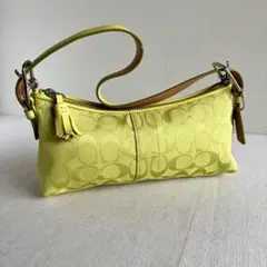 Vtg Coach Hamptons Demi Baguette Bag y2k